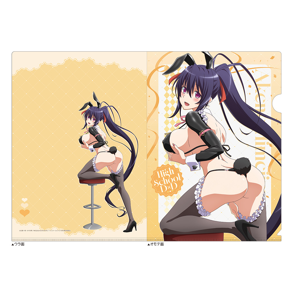 【カーテン魂】ハイスクールD×D HERO 描き下ろし クリアファイル（姫島朱乃/逆バニー（黒））
