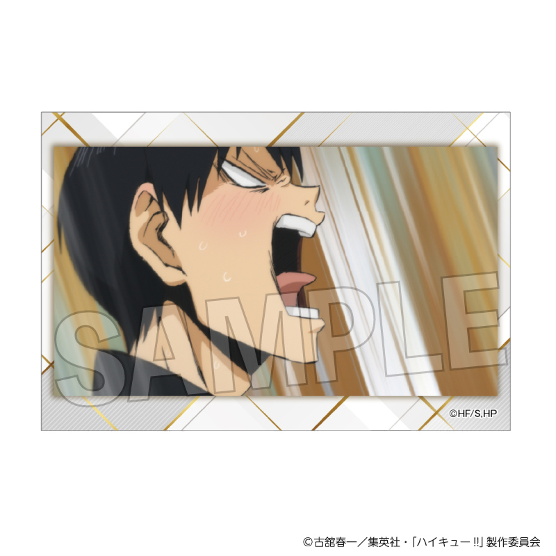 【PROOF】ハイキュー！！ スタパネ ミニ vol.10 1