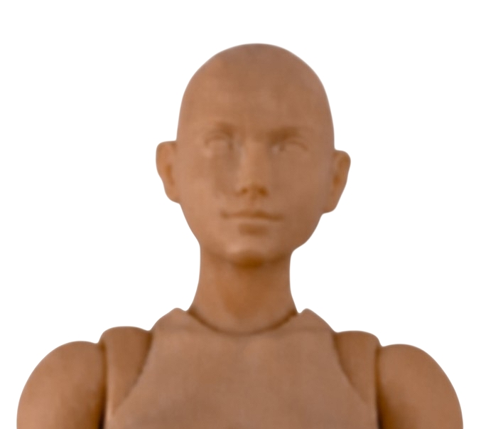 【WIND TOYS】1/12スケール 可動フィギュア スーパーモデル女性素体 FMW007 小麦色