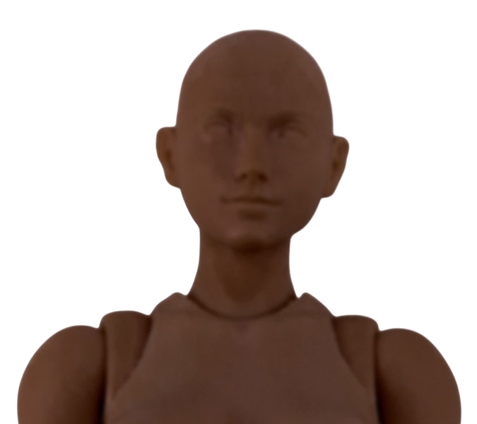 【WIND TOYS】1/12スケール 可動フィギュア スーパーモデル女性素体 FMW008 ブラック