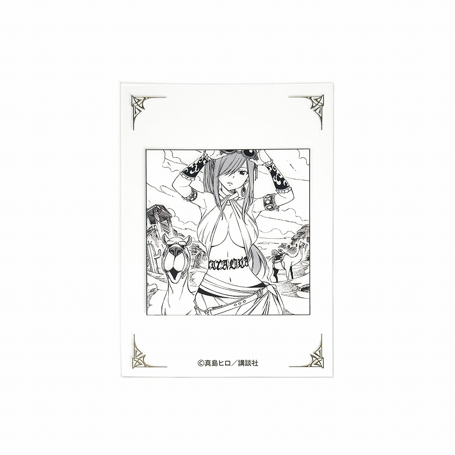 【Dragon Horse】AFORCE×DRAGON HORSE FAIRY TAIL 原作 透明キャラクターカード D