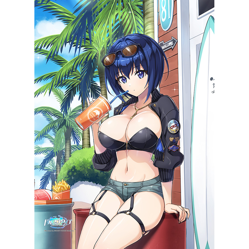 【カーテン魂】ドルフィンウェーブ 描き下ろしB2タペストリー（都条 みちる/コーストライディング）Wスエード