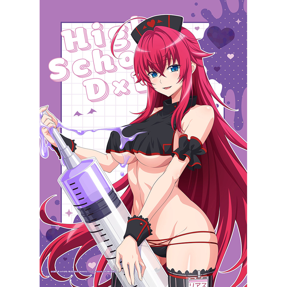 【カーテン魂】ハイスクールD×D HERO 描き下ろしB2タペストリー（リアス・グレモリー/黒ナース）Wスエード