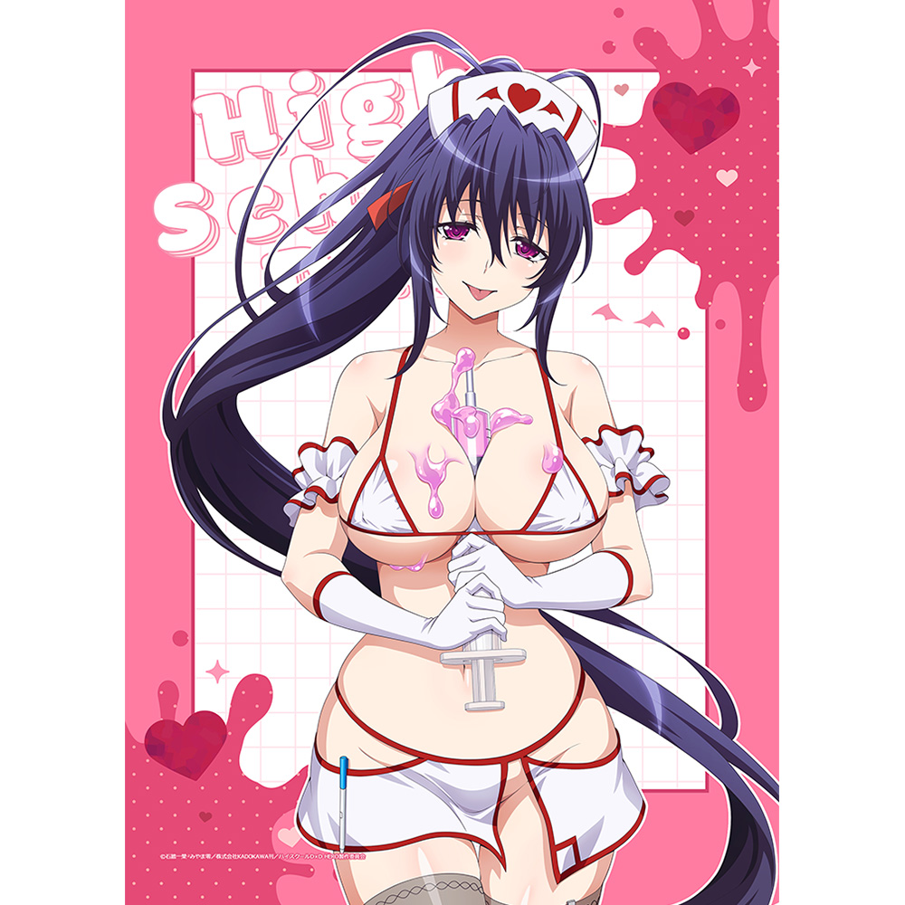 【カーテン魂】ハイスクールD×D HERO 描き下ろしB2タペストリー（姫島朱乃/白ナース）Wスエード