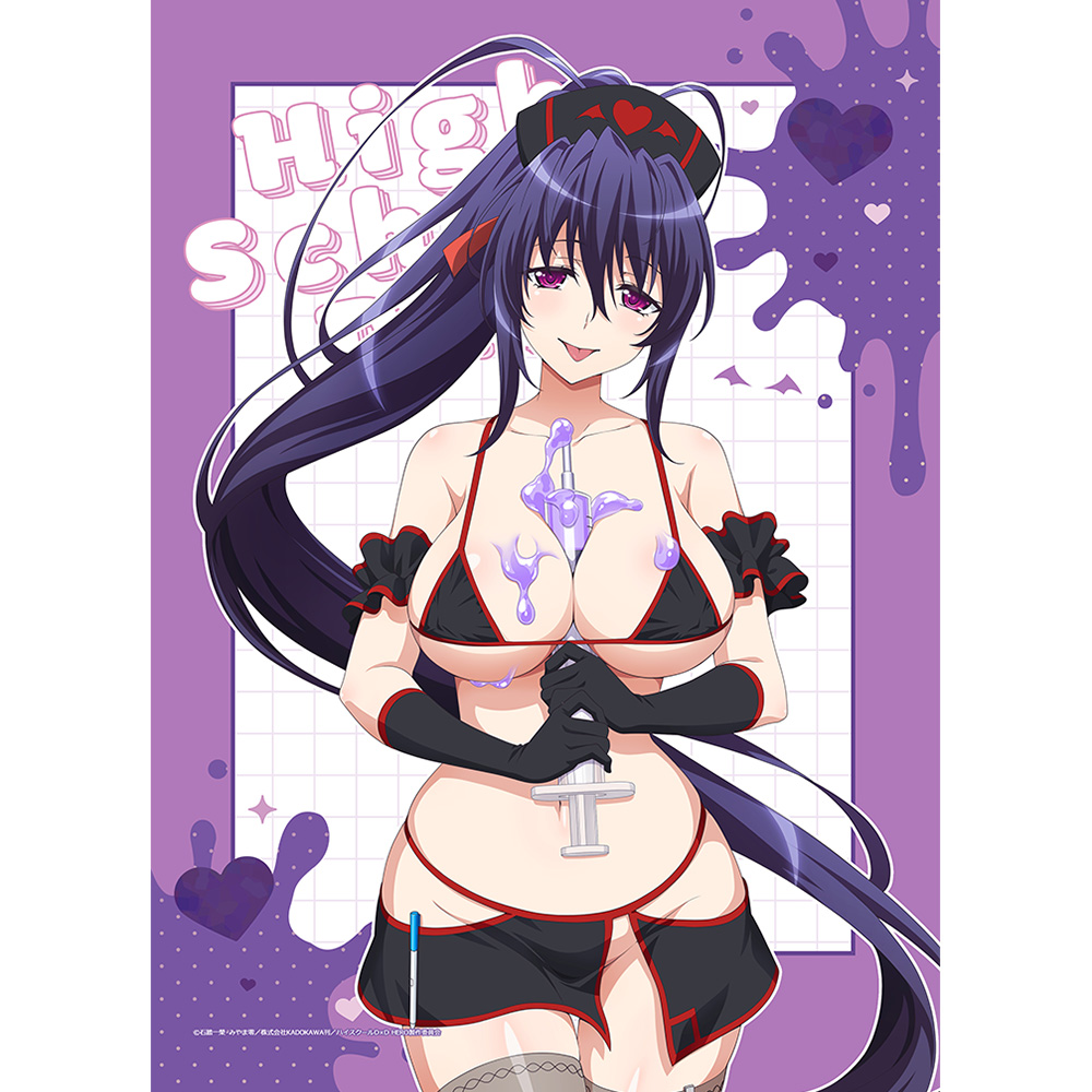 【カーテン魂】ハイスクールD×D HERO 描き下ろしB2タペストリー（姫島朱乃/黒ナース）Wスエード