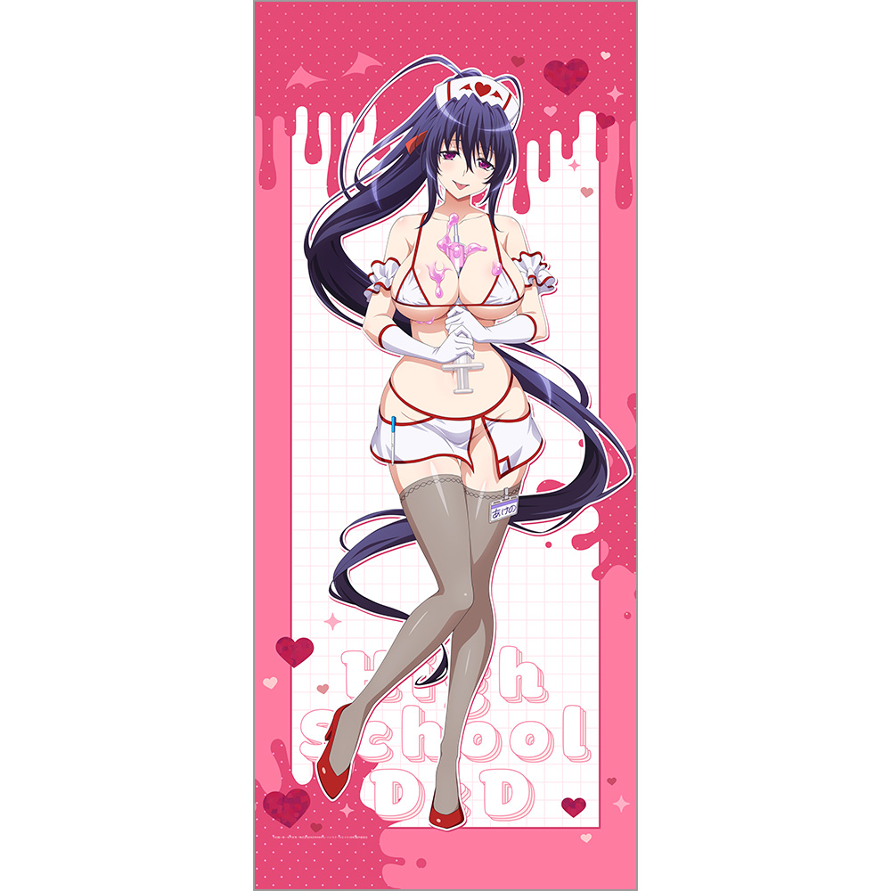 【カーテン魂】ハイスクールD×D HERO 描き下ろし特大タペストリー（姫島朱乃/白ナース）