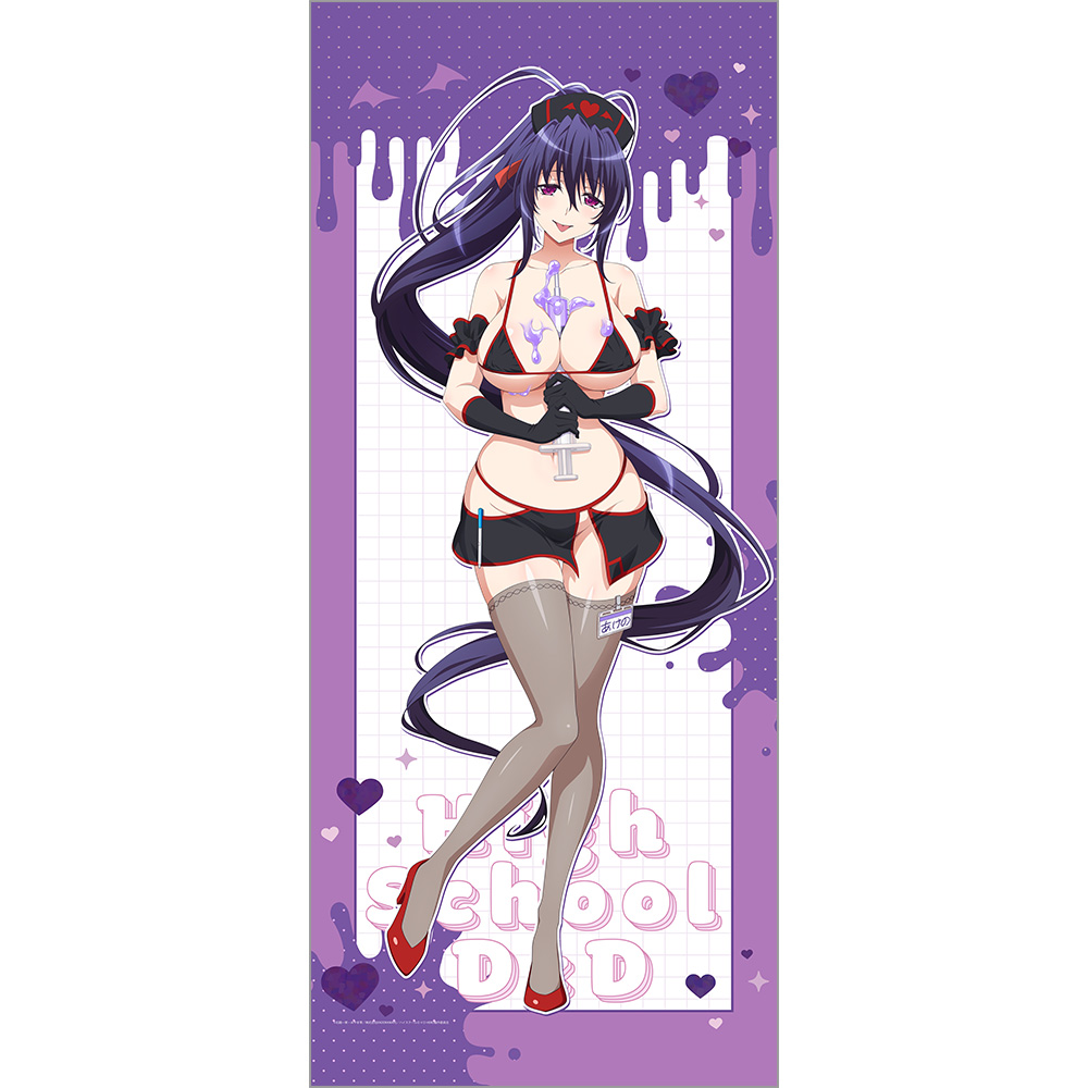 【カーテン魂】ハイスクールD×D HERO 描き下ろし特大タペストリー（姫島朱乃/黒ナース）