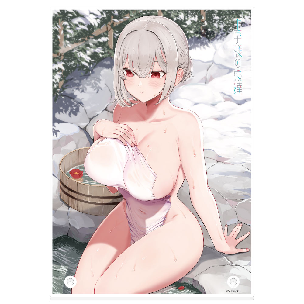 【カーテン魂】王子様の友達 アクリルパネル(藍田美明/温泉)
