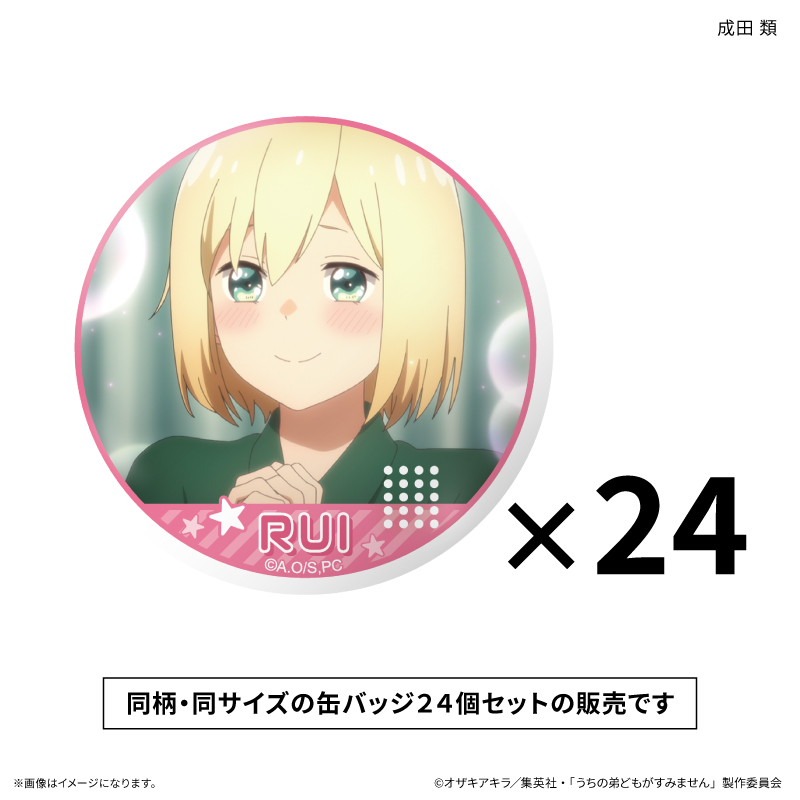 【カルチュア・エンタテインメント】うちの弟どもがすみません だけ缶セット 成田 類だけ缶バッジ(24個)