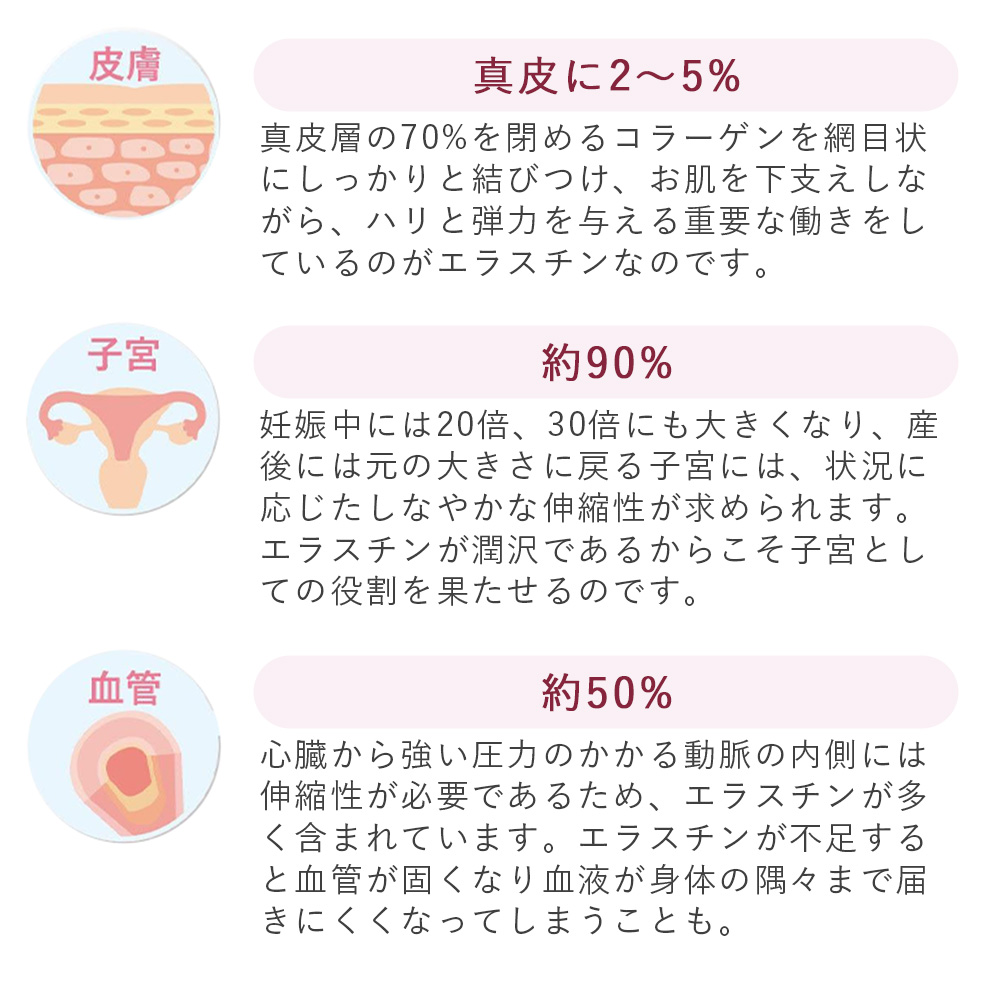 商品画像14