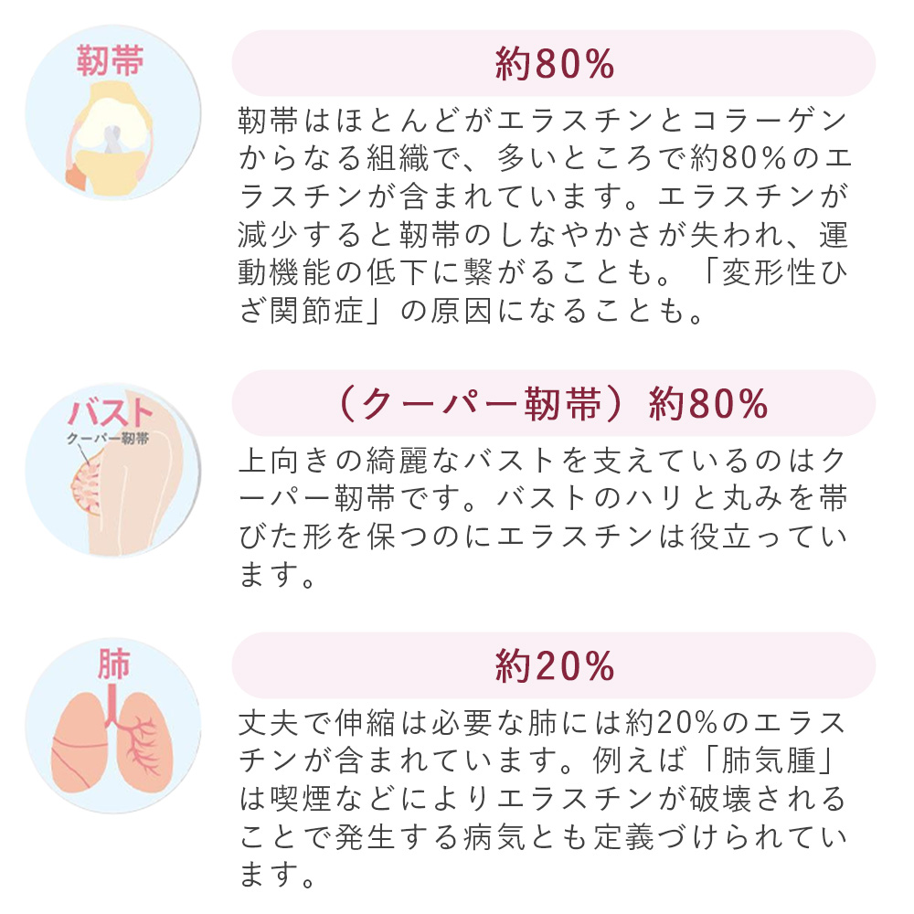 商品画像14