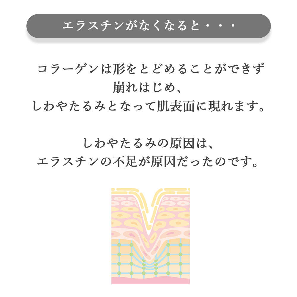 商品画像12