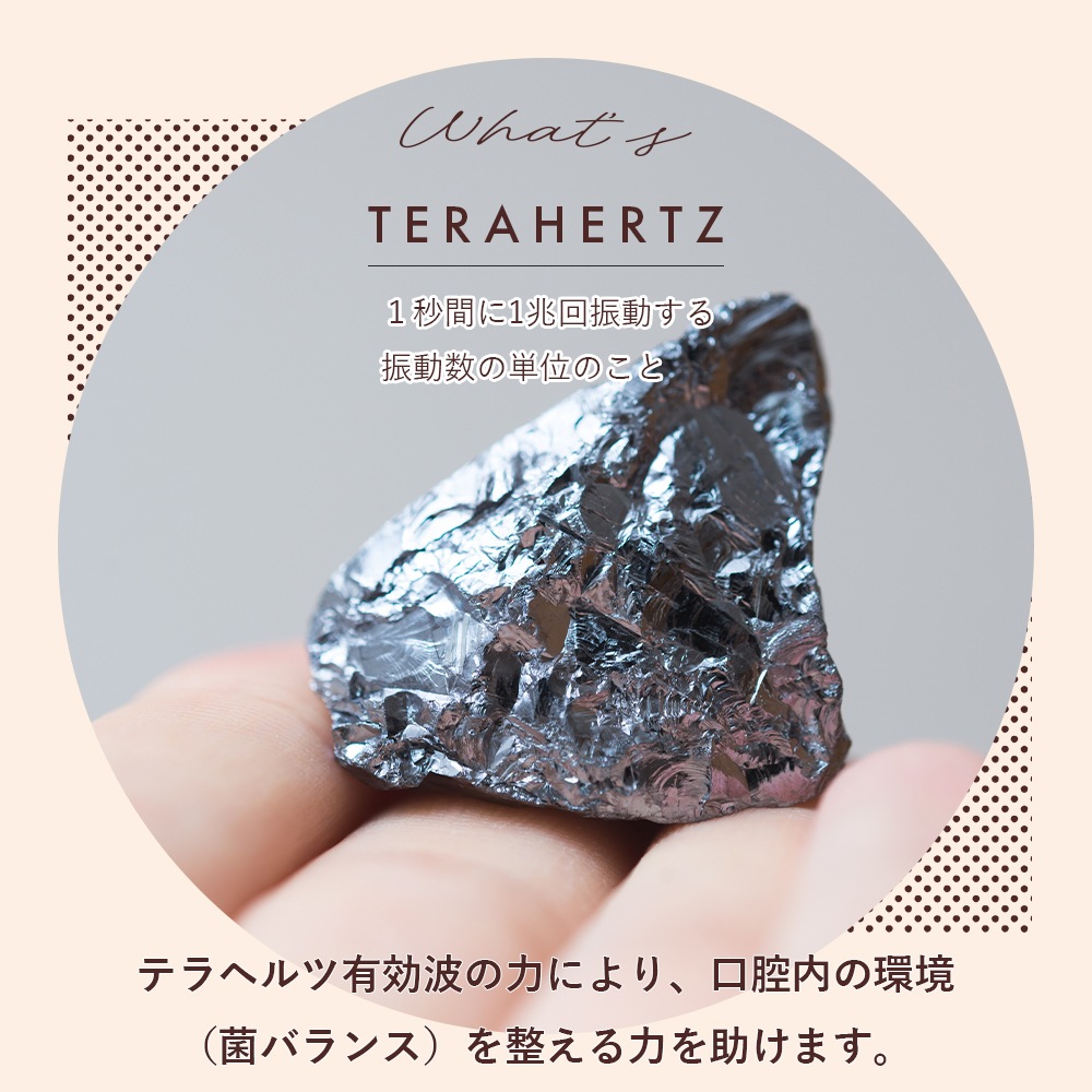 TERA TOOTHBRUSH（テラヘルツ歯ブラシ）1本 テラヘルツ