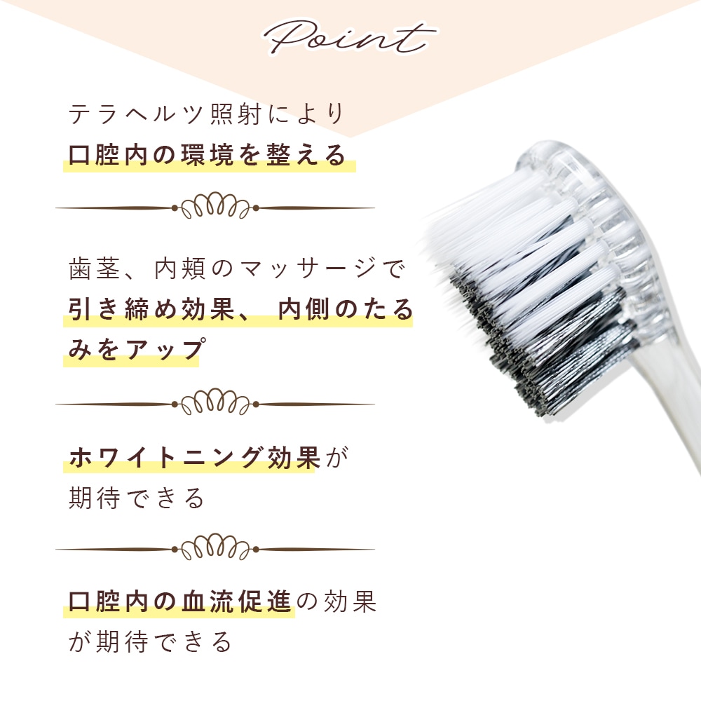 TERA TOOTHBRUSH（テラヘルツ歯ブラシ）1本 テラヘルツ