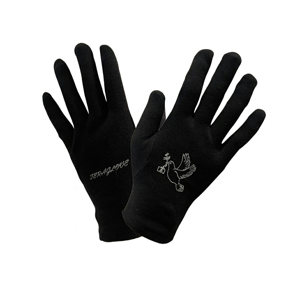 テラヘルツ TERAGLOVE 手袋 １セット