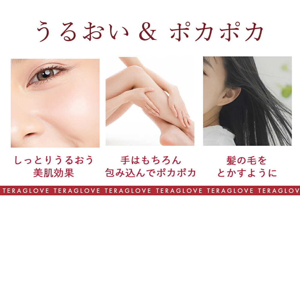 テラヘルツ TERAGLOVE 手袋 １セット