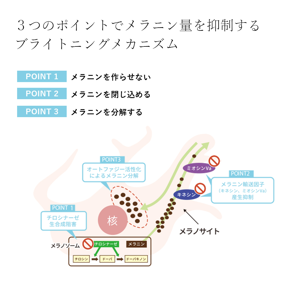 コネクト・ポー シロナルエッセンス <美容液>30mL