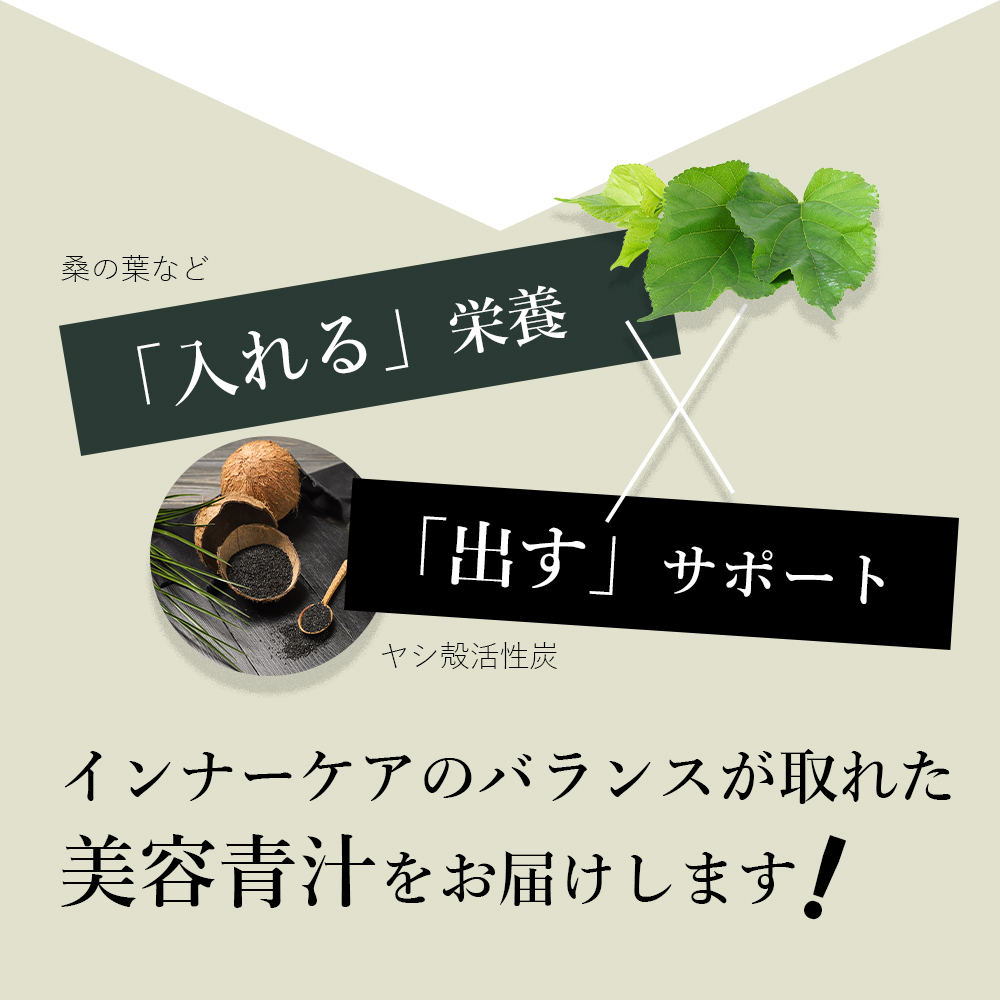ワコナルビューティー 桑の葉末加工食品 300g(3g×100袋)