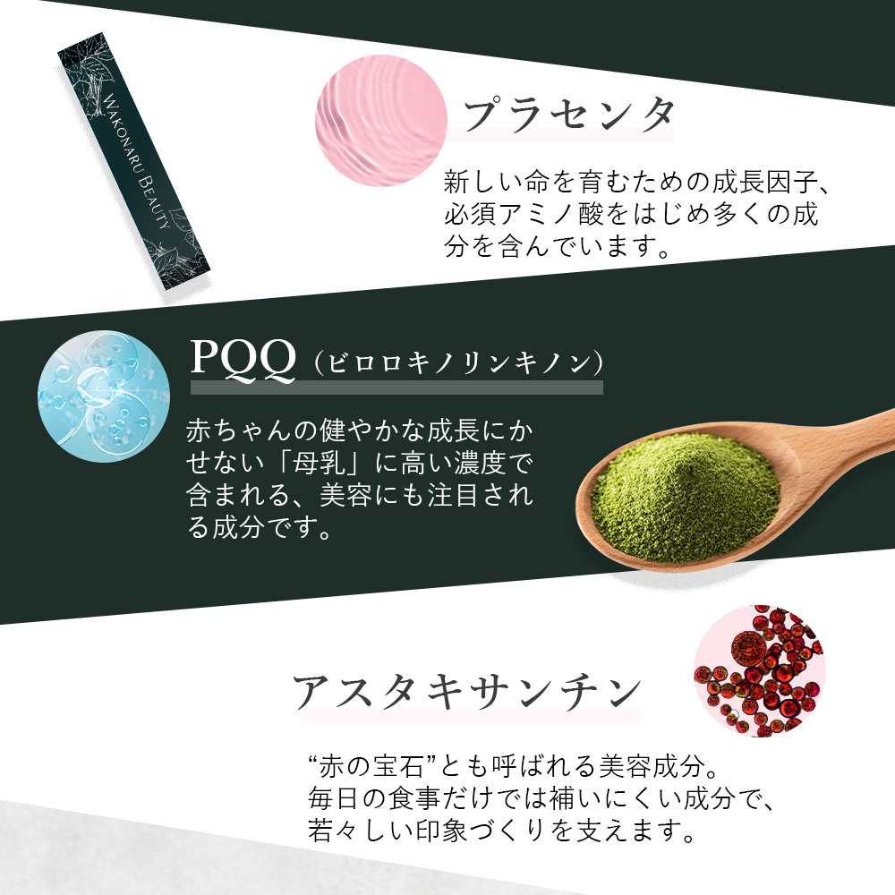 ワコナルビューティー 桑の葉末加工食品 300g(3g×100袋)