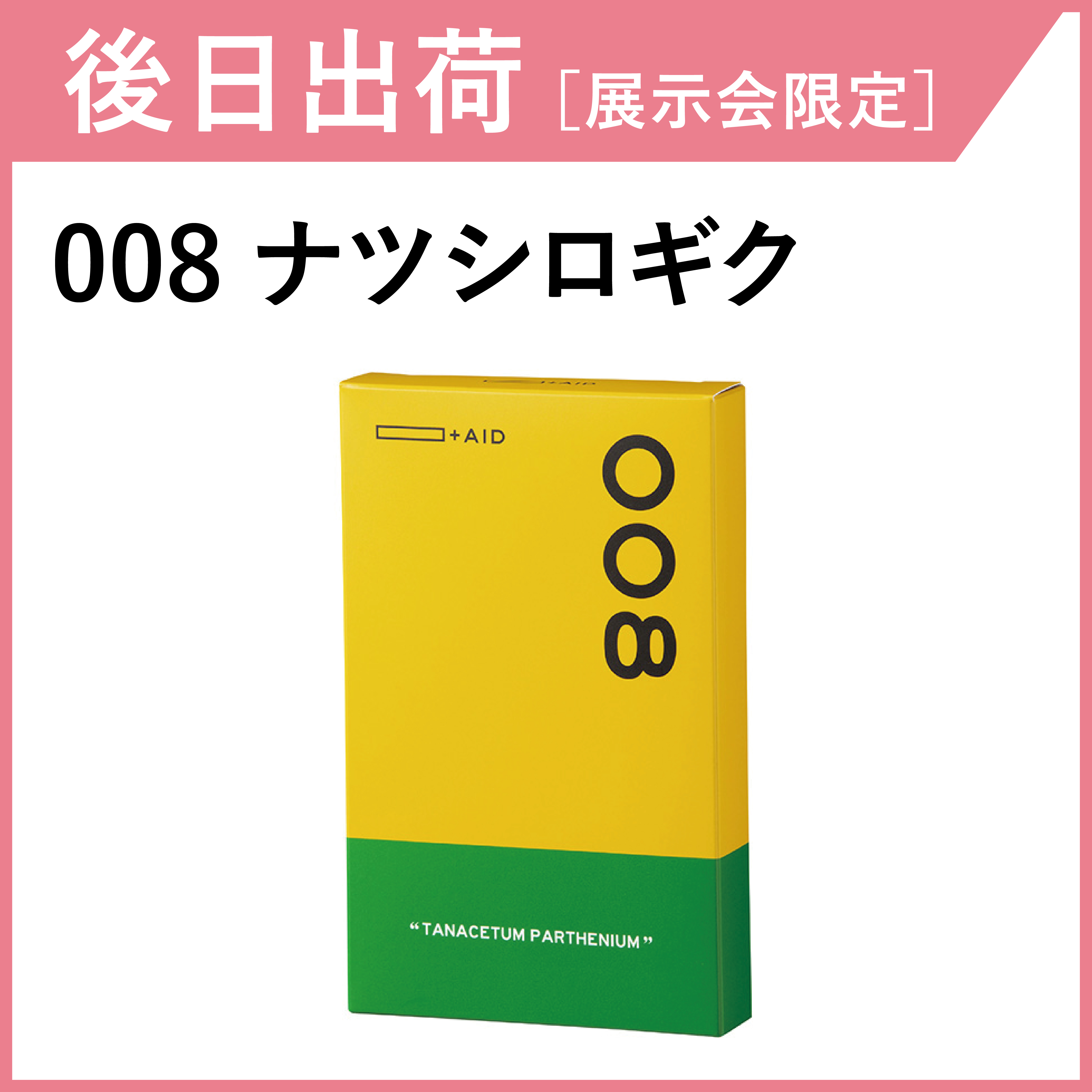 【後日出荷・展示会限定】AID-008 ナツシロギク
