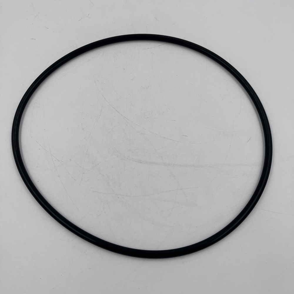 Ｏリング　G160 4ｼｭD