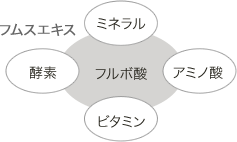 クリアクレンジング | アンペリアル