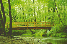 クリアクレンジング | アンペリアル