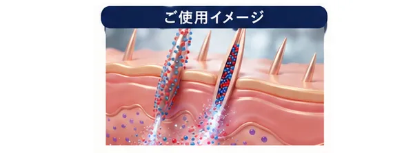SCサーモンインジェクション