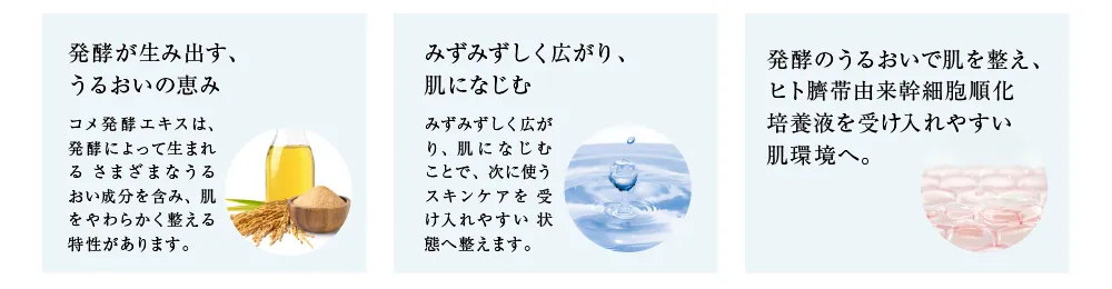 EssenCell プレップローション4