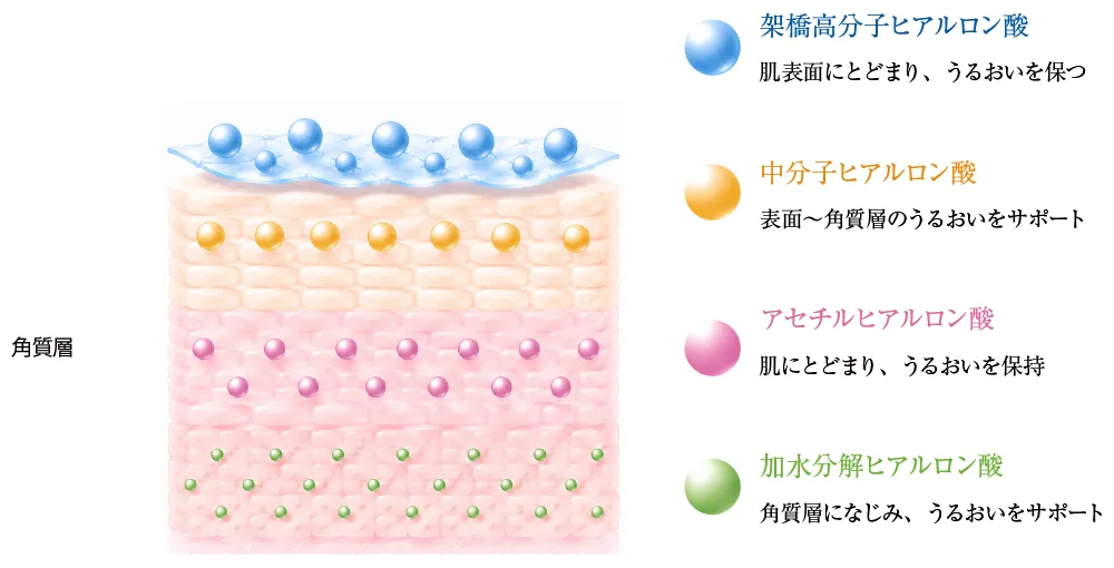 EssenCell クリームバランス4