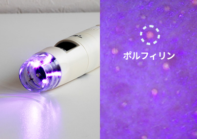ポルフィリンを可視化するUVライト
