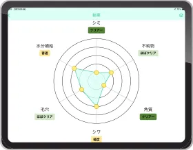 6項目の円グラフ