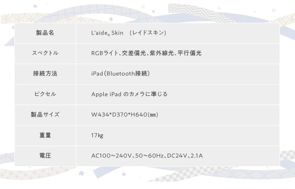 レイドスキン仕様