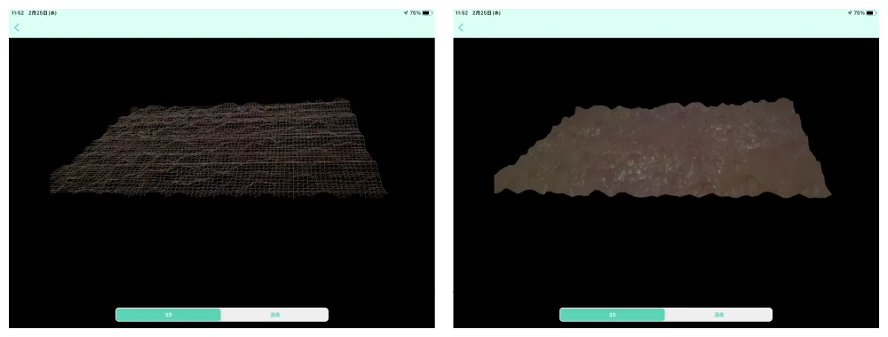立体的な3D・メッシュ表示