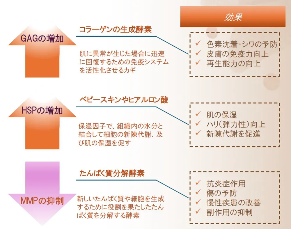 水滴超音波美容機器(QLDM®)の効果2