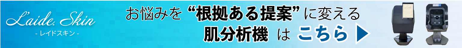 レイドスキン詳細バナー