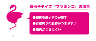 遺伝子タイプ「フラミンゴ」の場合