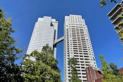 聖路加関連