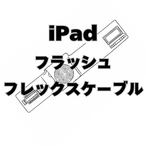 iPad　フラッシュフレックスケーブル