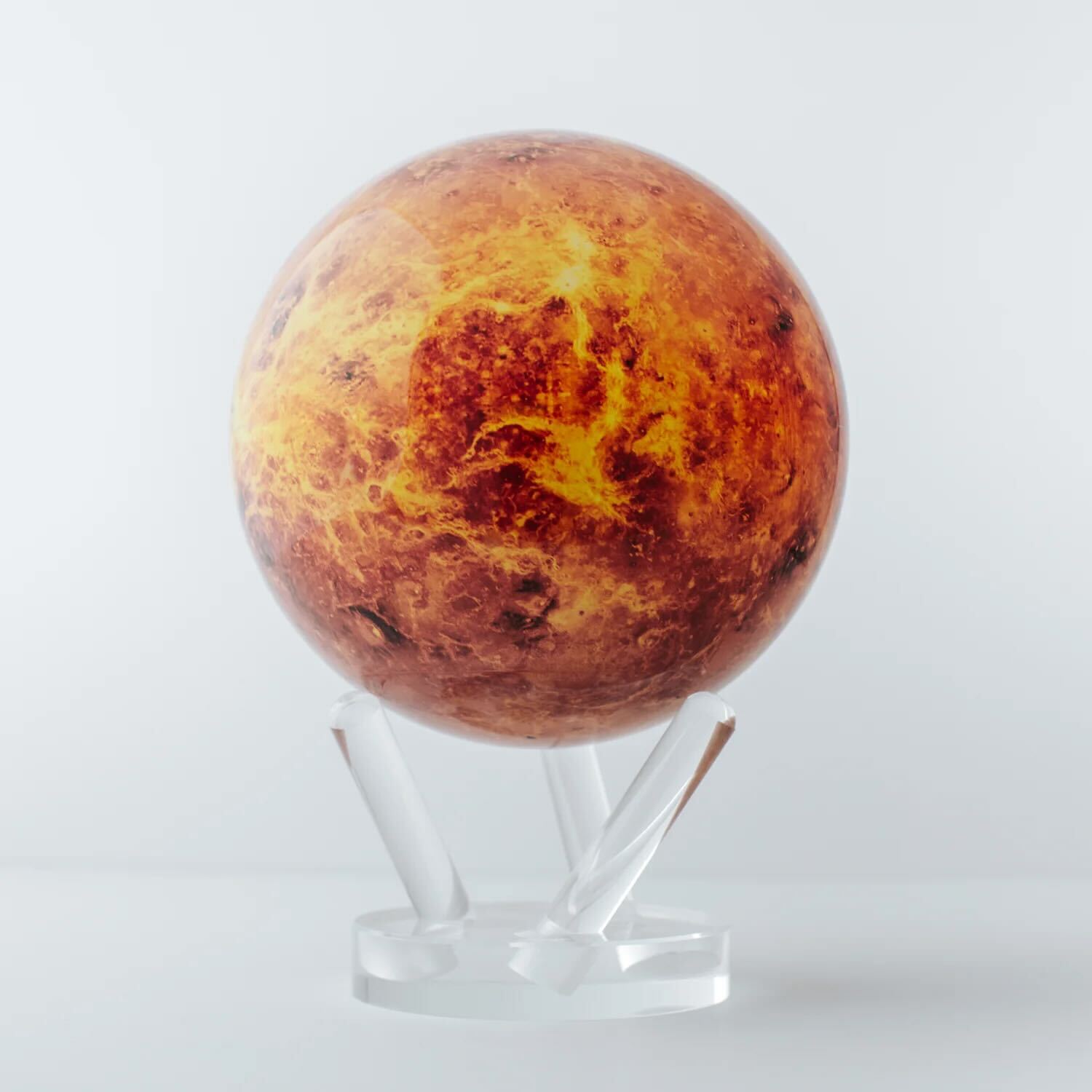 VENUS