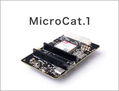 MicroCat.1