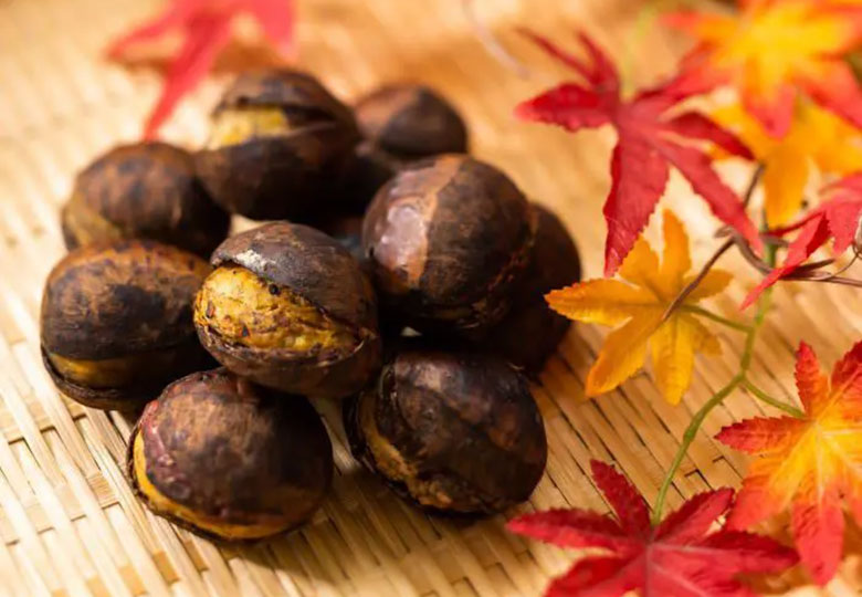 ご利用事例のタイトルが入りますご利用事例のタイトルが入ります