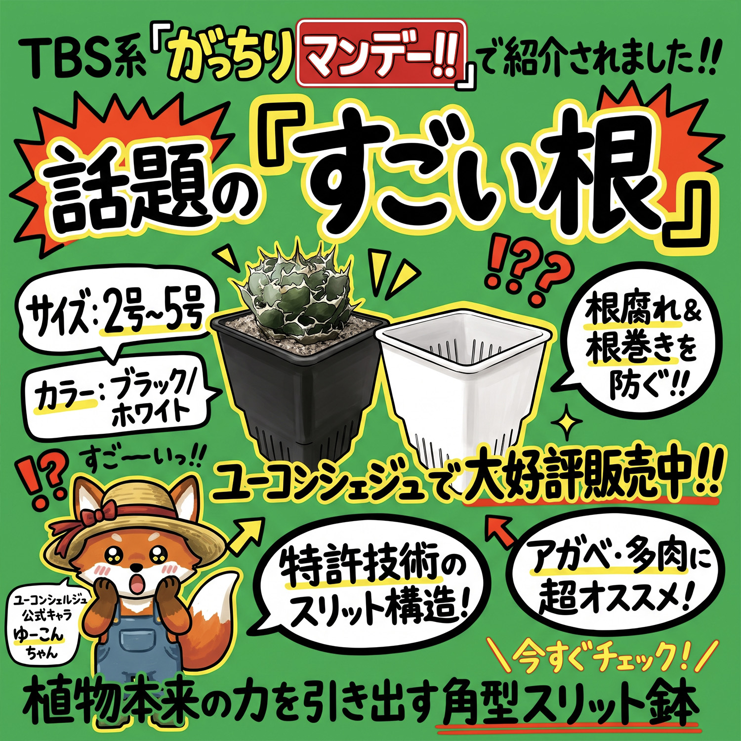 すごい根