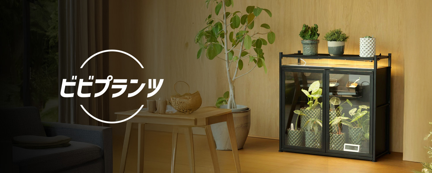 ビビプランツ