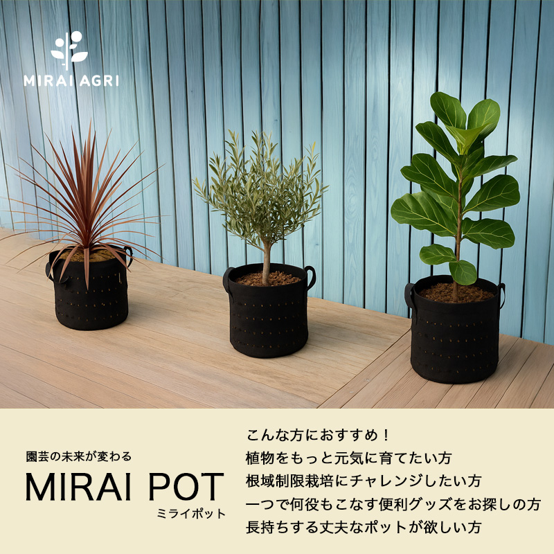 MIRAI POT　OX