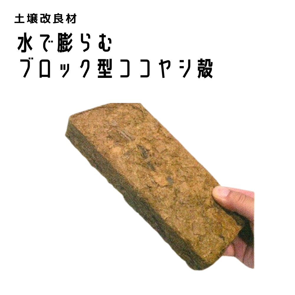 ココロック