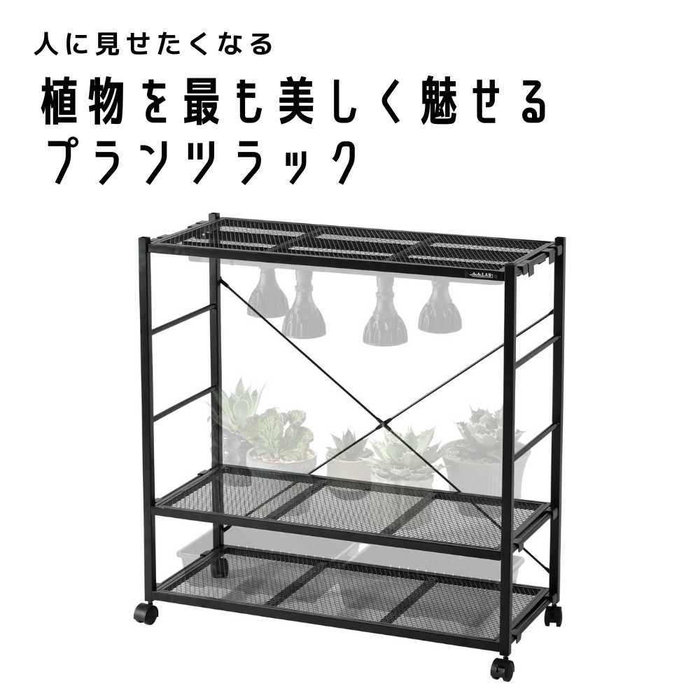 ビザールプランツラック LPR_800
