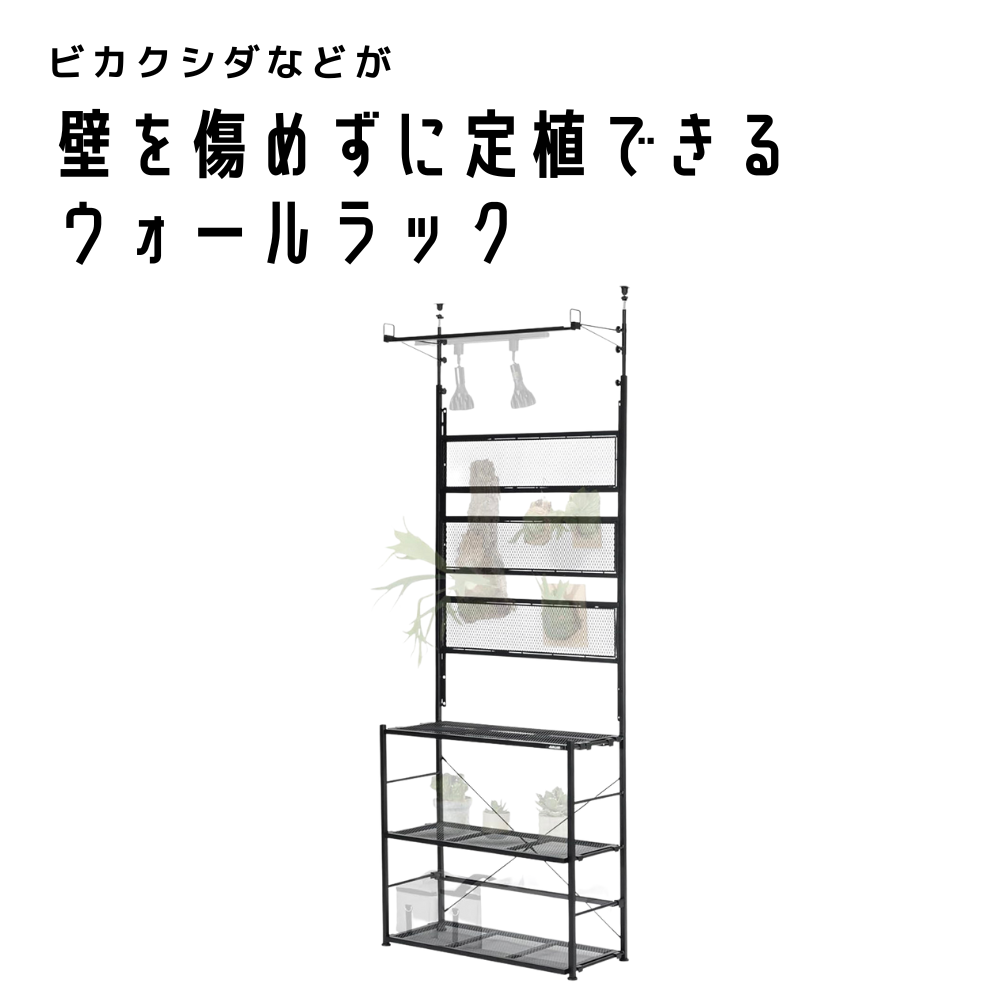 ビザールプランツウォールラック LPW_2100