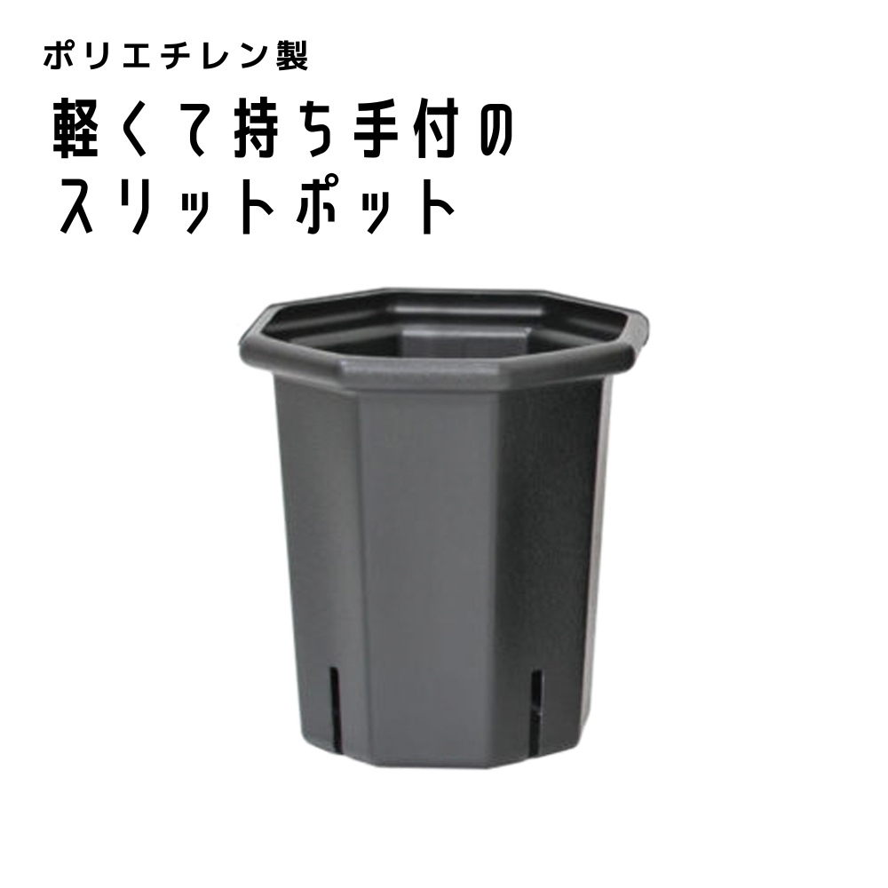 【9月発売予定】ポリゴン POLY-GON