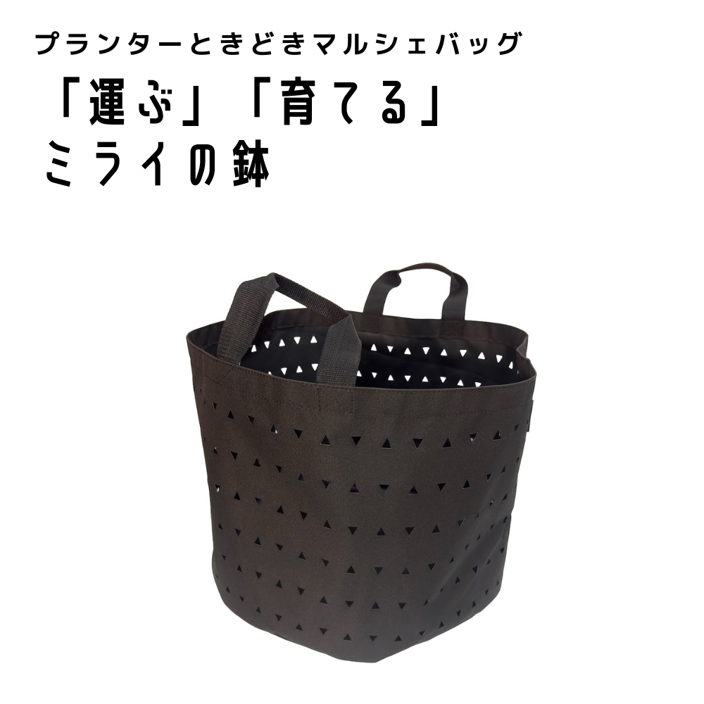 【発売開始!】MIRAI POT OX (ミラポ・オックス)